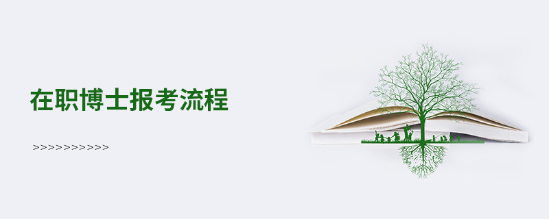 在職博士報考流程