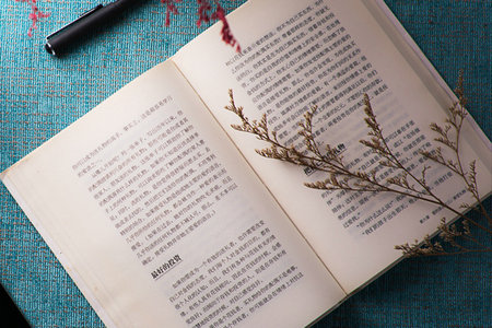 一月聯(lián)考報(bào)名時(shí)間 一月聯(lián)考報(bào)名時(shí)間