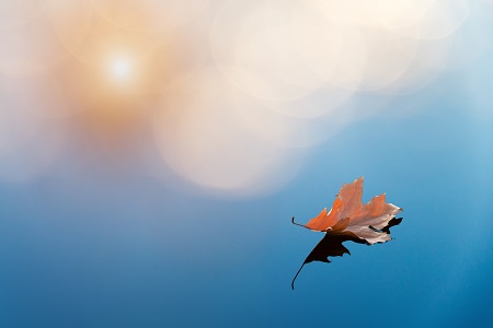 華北電力大學MPA專業復試流程 華北電力大學MPA專業復試流程