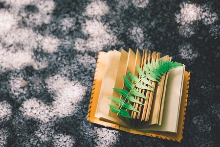 西南大學MF畢業(yè)可以獲得哪些證書？