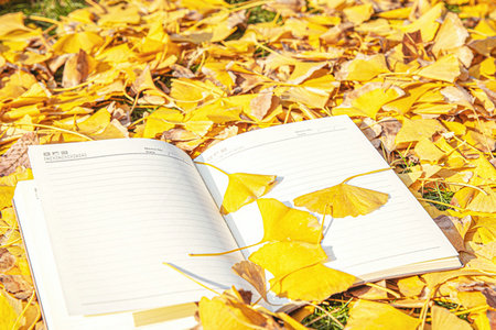 在職博士復試時間