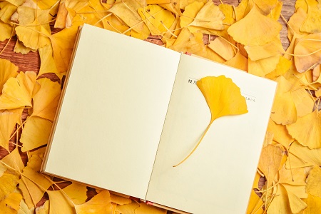 上海財經大學經濟法學在職研究生值得就讀嗎？