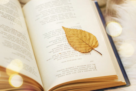 東北財經大學在職研究生可以先學后考嗎 東北財經大學在職研究生可以先學后考嗎