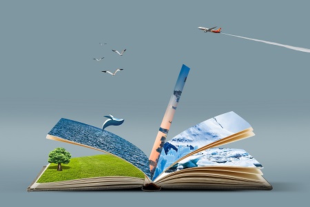 中國政法大學MBA專業成績在哪里查詢？