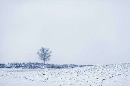 報考清華大學EMBA會影響工作嗎？