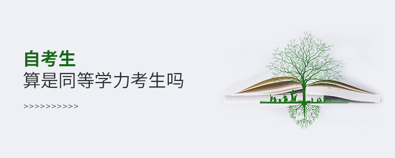 自考生算是同等學力考生嗎