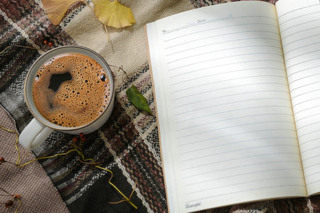 美國加州大學伯克利分校中外合辦證書