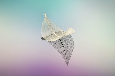 報考指南！不同學歷該如何報考西南交通大學在職研究生