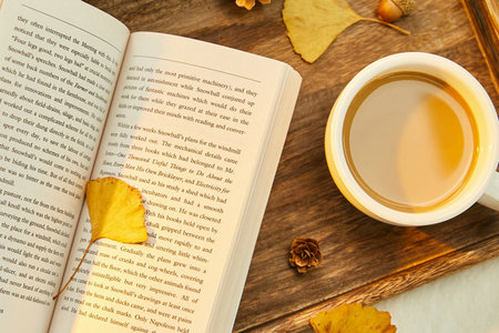 2022年湖南大學MF非全日制研究生