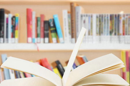 首都經濟貿易大學中外合作辦學報考條件 首都經濟貿易大學中外合作辦學報考條件