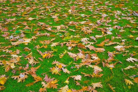 西南財經大學MBA復試流程介紹 西南財經大學MBA復試流程介紹