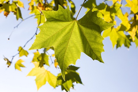 西南交通大學在職研究生報考方式介紹 西南交通大學在職研究生報考方式介紹