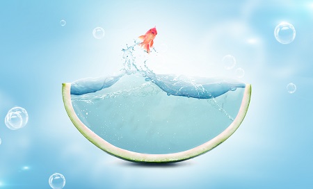 首都經濟貿易大學MPA報考流程是什么? 首都經濟貿易大學MPA報考流程是什么?