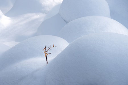  上海對外經貿大學MBA調劑注意事項