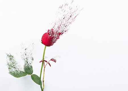 中南財經政法大學MPA報考條件介紹 中南財經政法大學MPA報考條件介紹