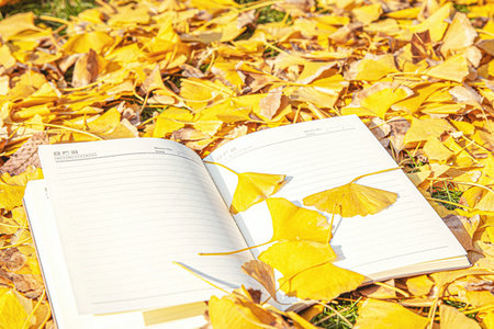 地質資源與地質工程在職研究生報考人群