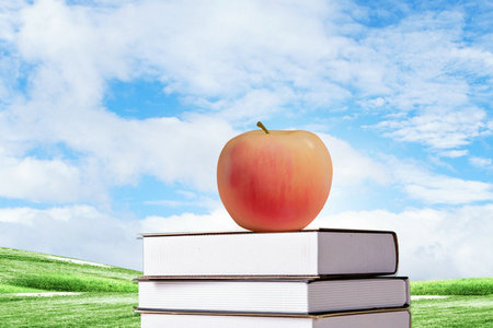 政治經(jīng)濟(jì)學(xué)在職研究生開課學(xué)校