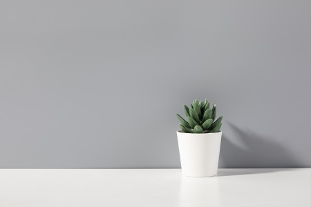 武漢工程大學(xué)MBA專業(yè)值得讀嗎？