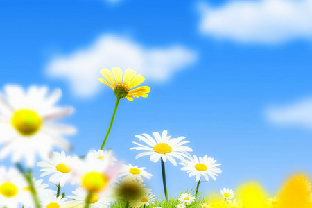 在職研究生含金量高嗎