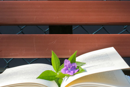 函授本科考研難度