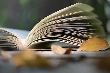 河南大學MEM報考條件