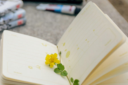 專業(yè)碩士在職研究生