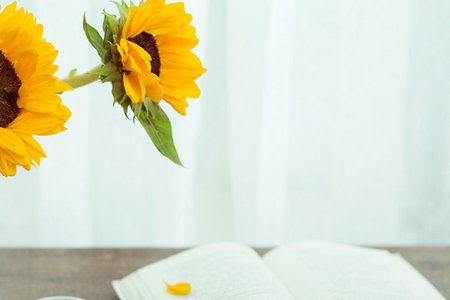 中央財經(jīng)大學MPA報名及考試時間