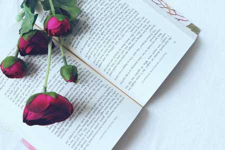 英國北安普頓大學在職研究生學費 英國北安普頓大學在職研究生學費