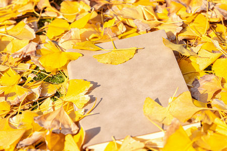 地理學在職研究生需要參加考試嗎 地理學在職研究生需要參加考試嗎