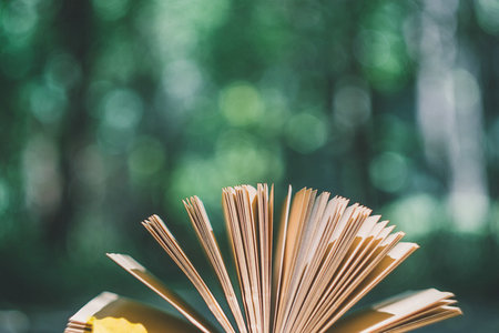 中國礦業大學非全日制研究生報名及考試時間