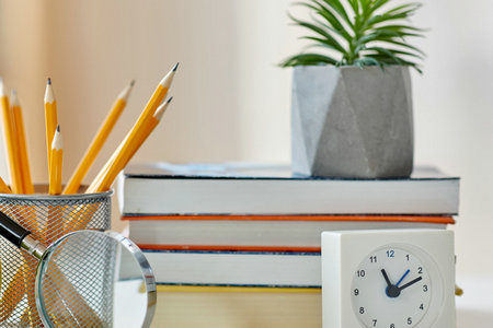 西班牙內(nèi)布里哈大學(xué)報(bào)考類型