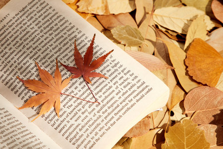 好就業(yè)的碩士專業(yè)排名 好就業(yè)的碩士專業(yè)排名