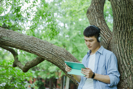 全日制教育和在職教育怎么填