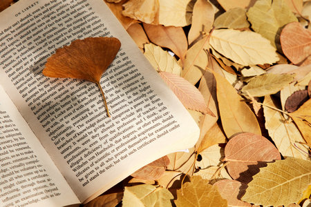 法語筆譯非全日制研究生考試