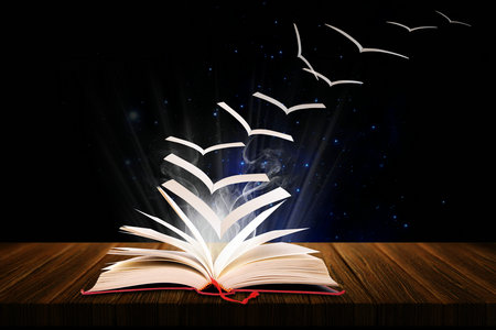 法國昂熱大學報考條件