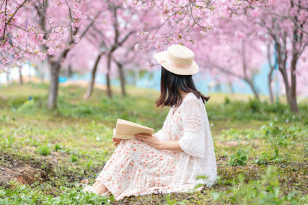 英國倫敦城市大學(xué)國際博士怎么上課 英國倫敦城市大學(xué)國際博士怎么上課