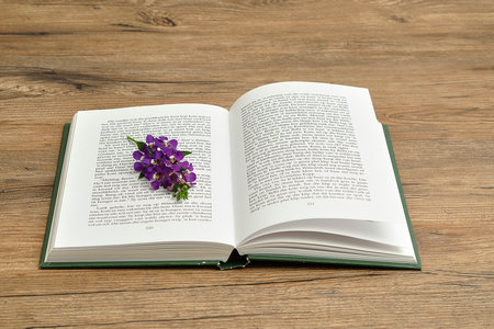 湖北同等學(xué)力申碩報考條件及流程 湖北同等學(xué)力申碩報考條件及流程