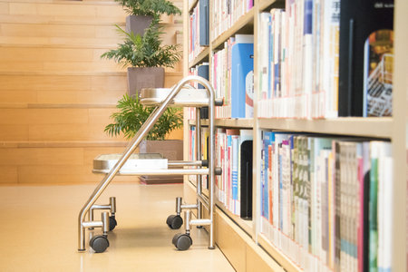 景德鎮(zhèn)陶瓷大學(xué)在職研究生報(bào)名及考試時(shí)間