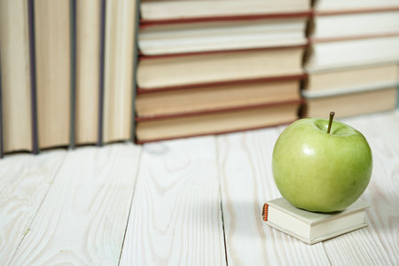 東北林業大學在職研究生報名及考試時間 東北林業大學在職研究生報名及考試時間