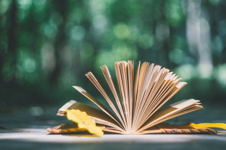 中北大學在職研究生報名及考試時間 中北大學在職研究生報名及考試時間