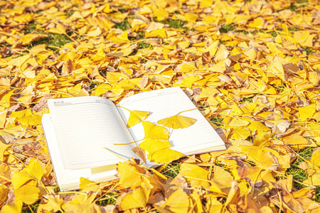 香港中文大學報名及考試時間 香港中文大學報名及考試時間