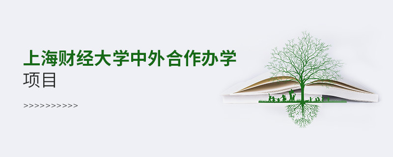上海財經大學中外合作辦學項目