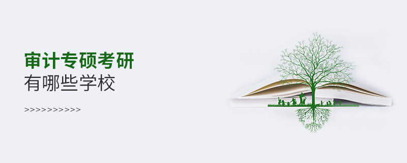 審計專碩考研有哪些學(xué)校 審計專碩考研有哪些學(xué)校