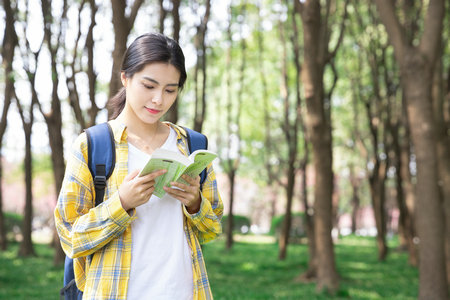 西班牙內(nèi)布里哈大學(xué)國(guó)際博士學(xué)費(fèi)