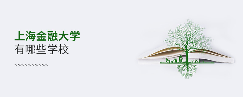 上海金融大學有哪些學校