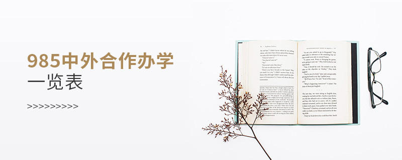 985中外合作辦學一覽表