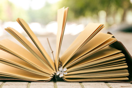 安徽師范大學MPA學費一覽表 安徽師范大學MPA學費一覽表