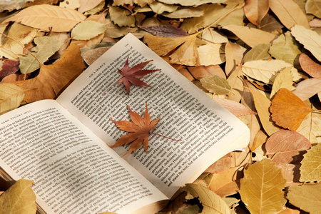 中南大學同等學力申碩學費