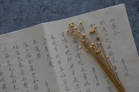 漢語言文字學在職研究生就業方向與前景！