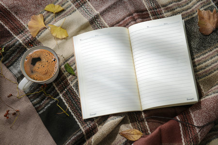 中央財經(jīng)大學(xué)MEM報考條件